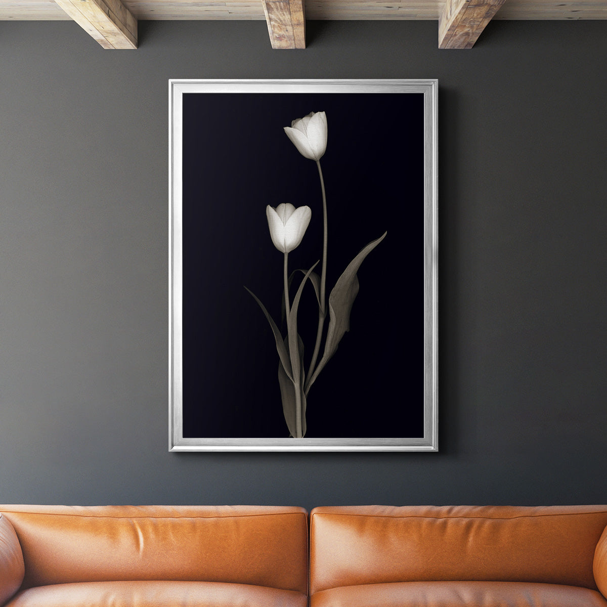 Tulip Pose II - Modern Framed Canvas Print