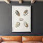 Pastel Knorr Shells III - Modern Framed Canvas Print