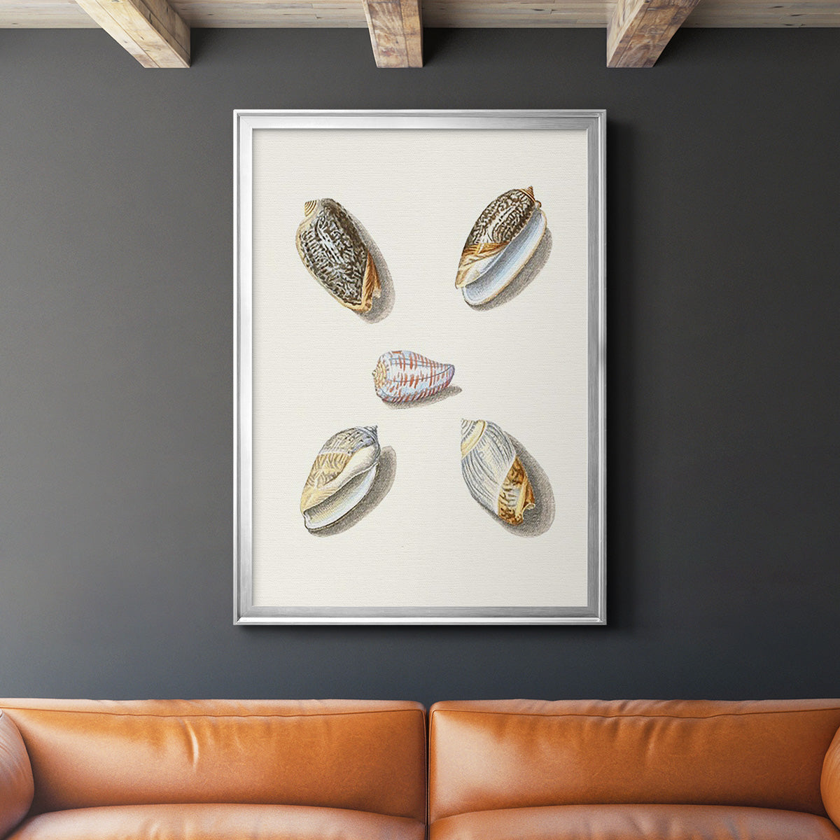 Pastel Knorr Shells III - Modern Framed Canvas Print