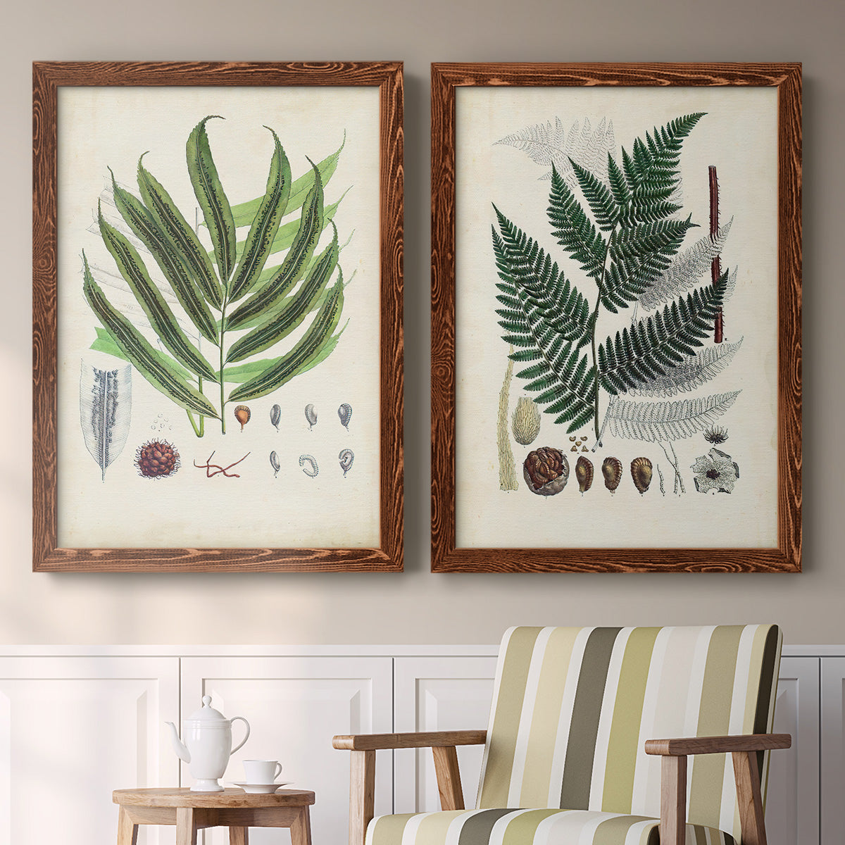 Set of two maple barnwood framed canvas prints depicting two natural-history fern plates featuring vintage fern specimens with botanical details above a sideboard in a cozy sitting room.