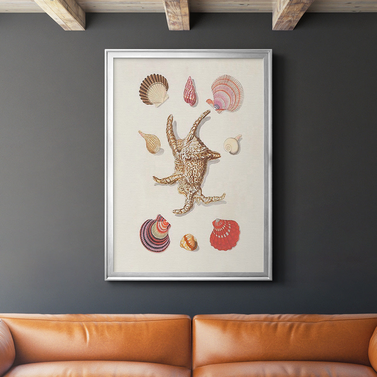 Knorr Shells & Coral II - Modern Framed Canvas Print
