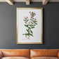 Rose Botanical III - Modern Framed Canvas Print