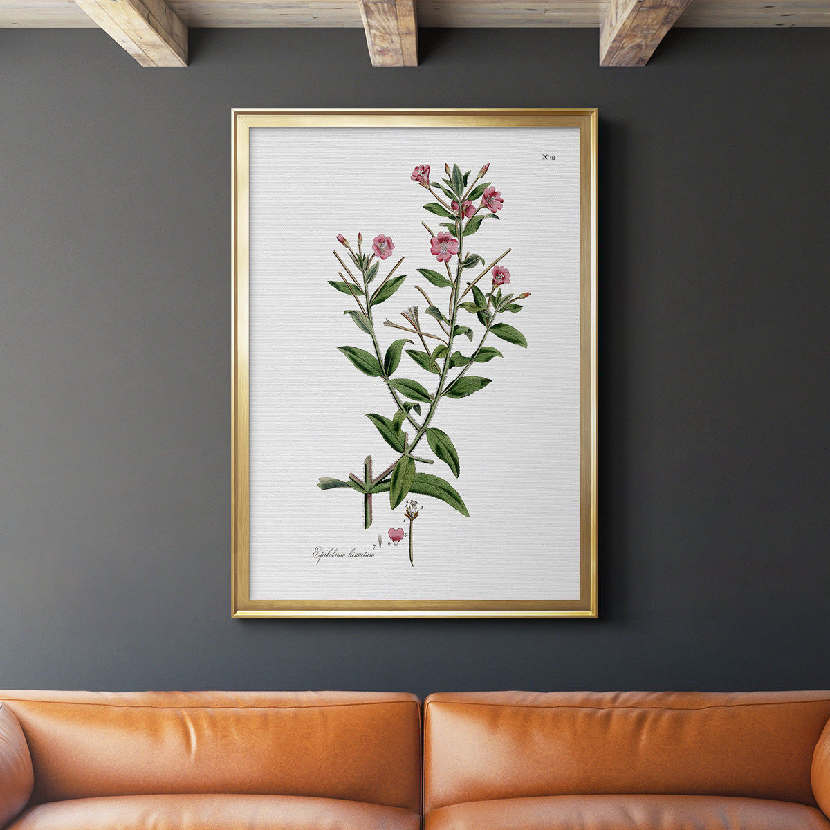 Rose Botanical III - Modern Framed Canvas Print