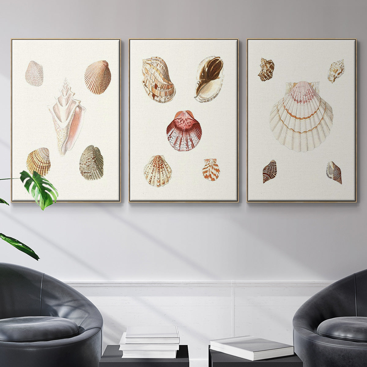 Pastel Knorr Shells I - Framed Premium Gallery Wrapped Canvas L Frame 3 Piece Set - Ready to Hang