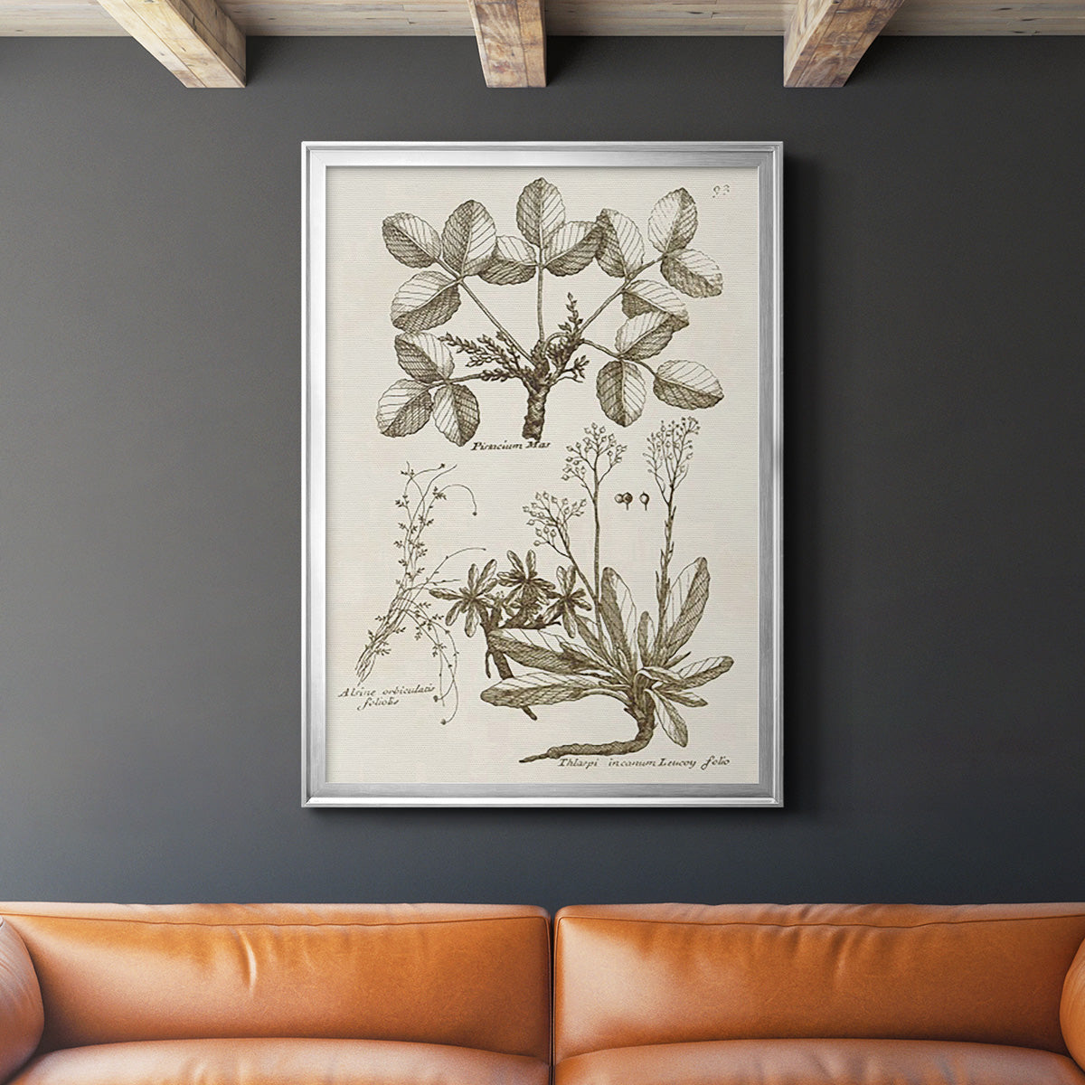 Sepia Botanical Journal VI - Modern Framed Canvas Print