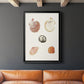 Pastel Knorr Shells VIII - Modern Framed Canvas Print