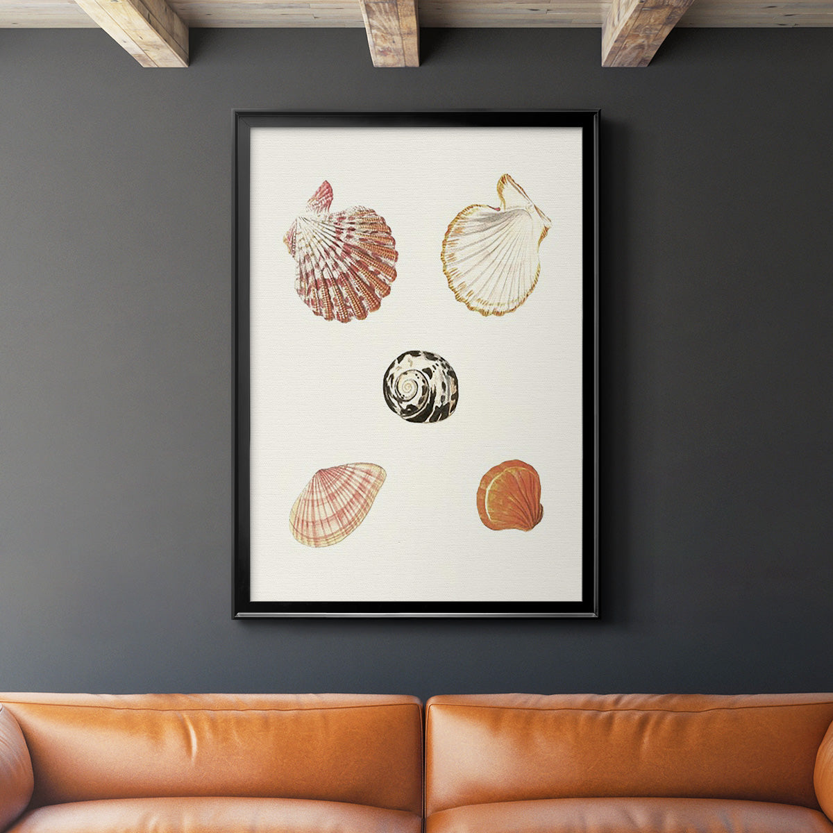 Pastel Knorr Shells VIII - Modern Framed Canvas Print