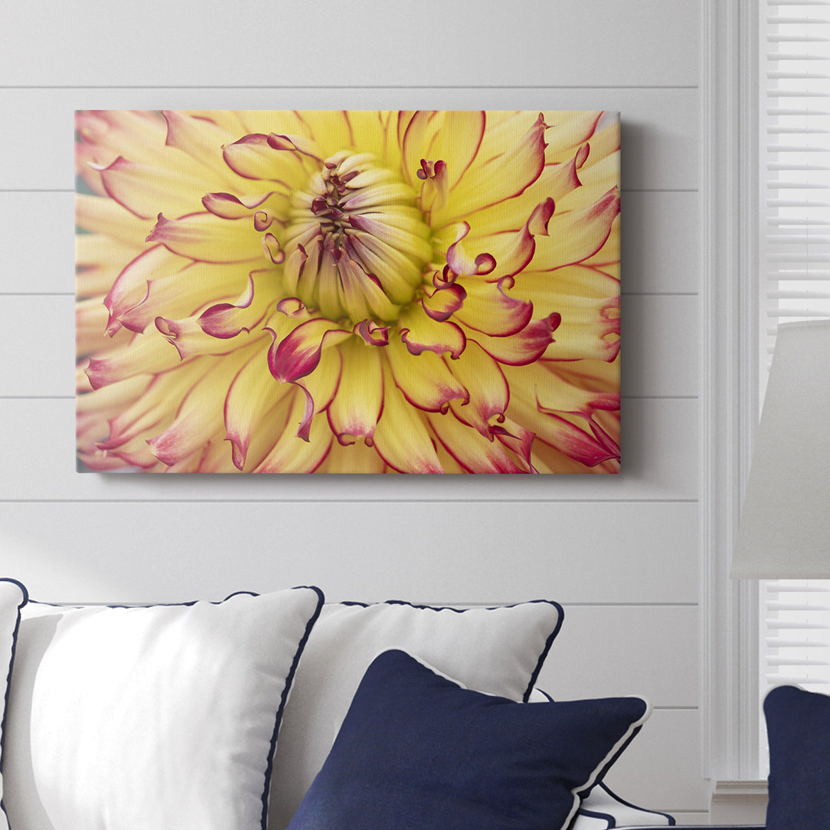 Blooms II - Canvas Art Print