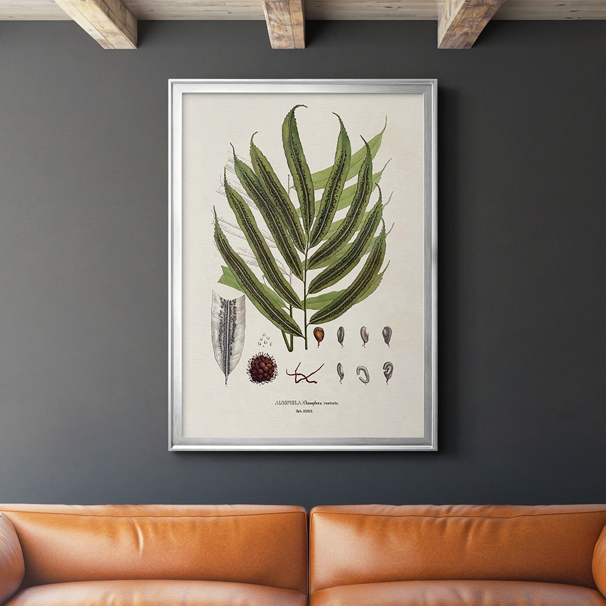 Botanical Society Ferns II - Modern Framed Canvas Print