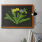 Wild Dandelion II Premium Framed Canvas- Ready to Hang