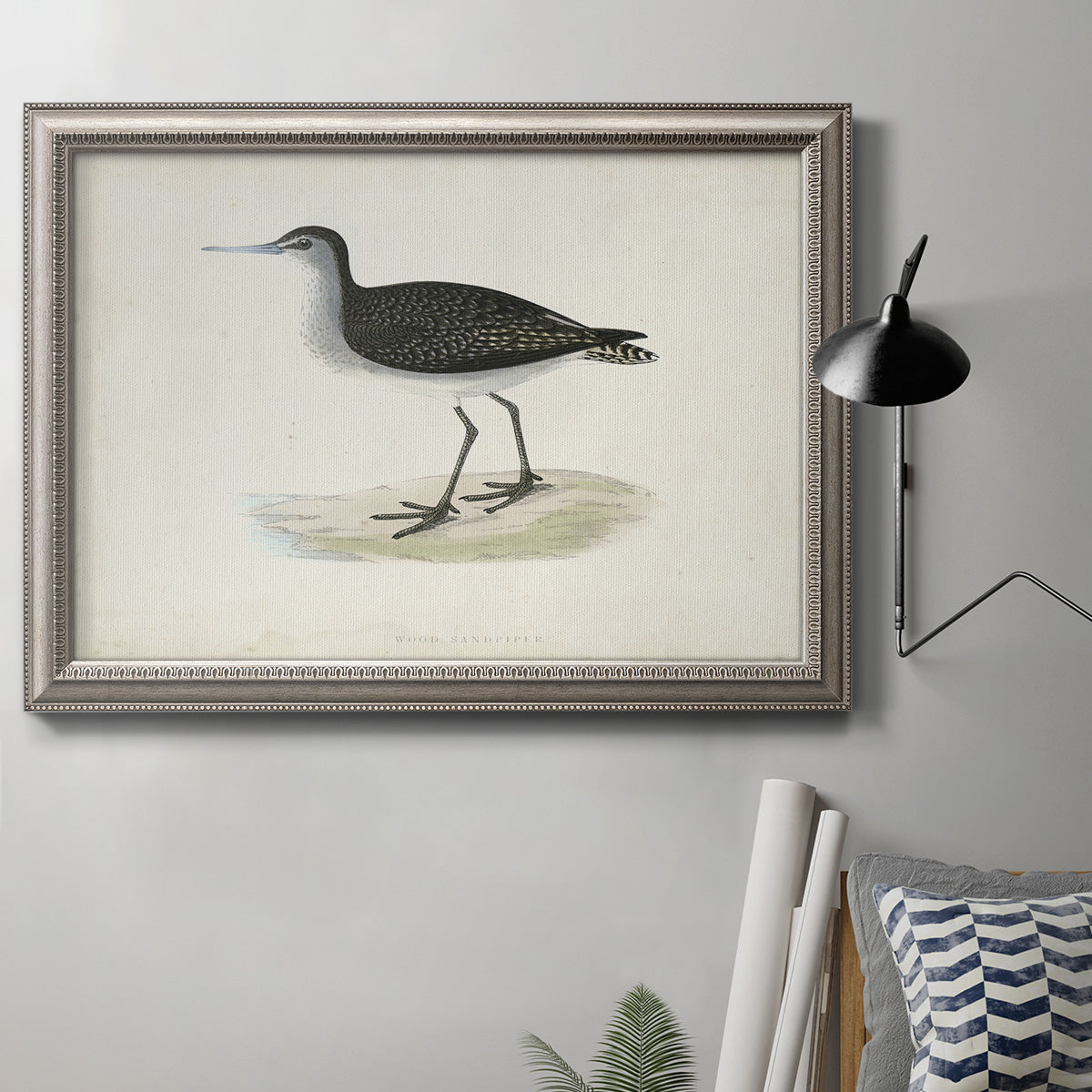 Morris Sandpipers VIII Premium Framed Canvas- Ready to Hang