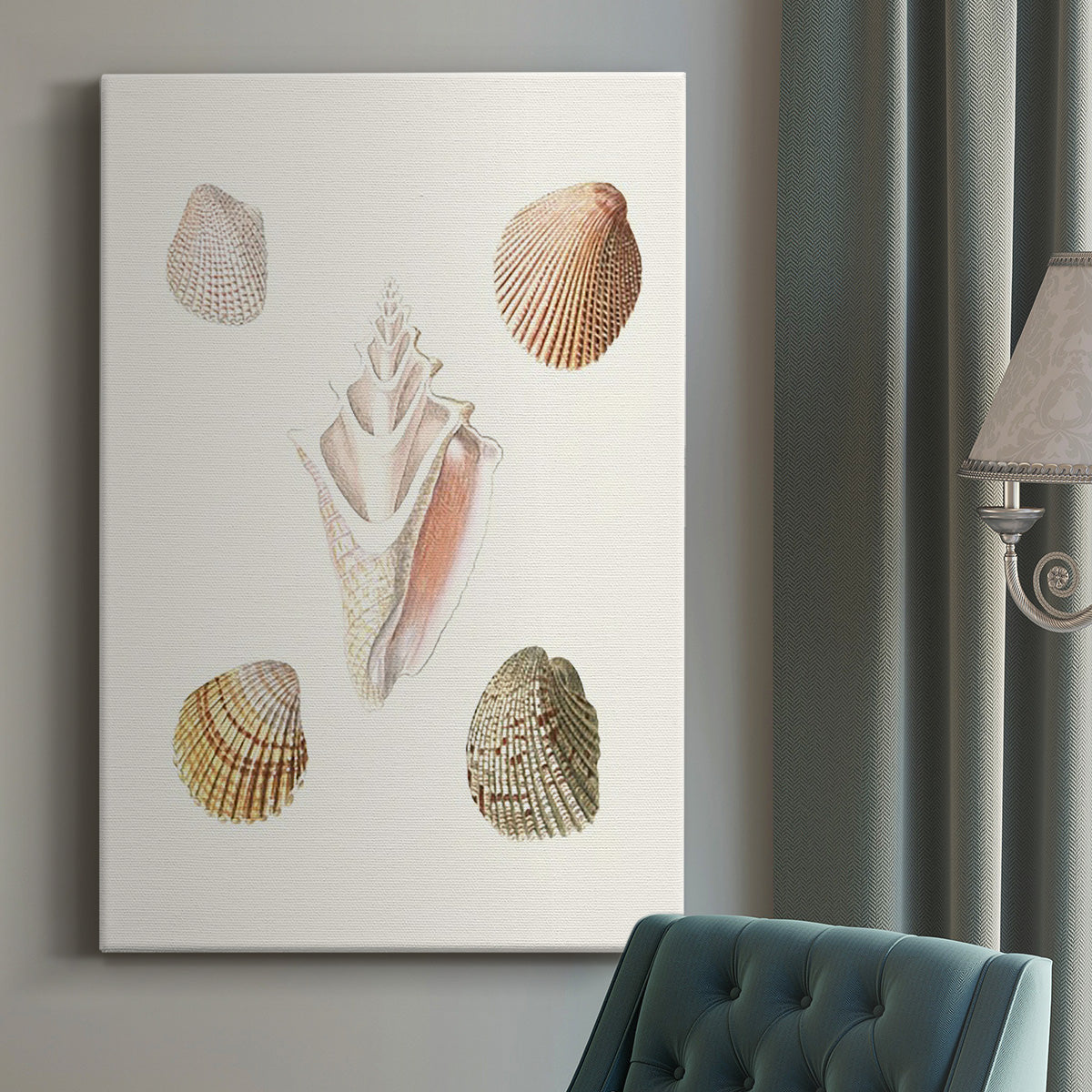 Pastel Knorr Shells IX - Canvas Art Print