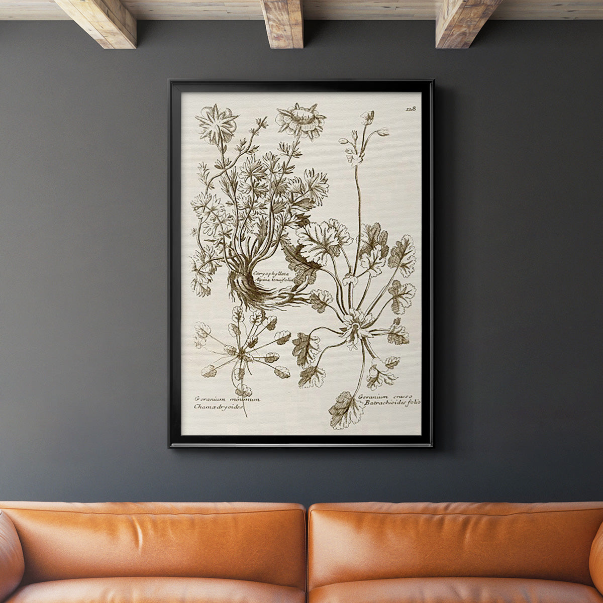 Sepia Botanical Journal IX - Modern Framed Canvas Print