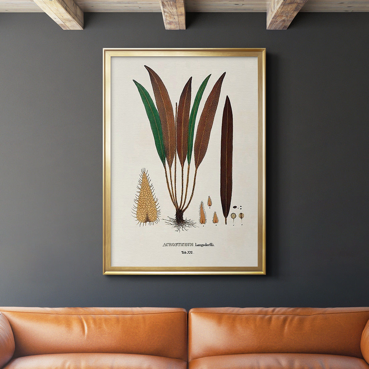 Botanical Society Ferns I - Modern Framed Canvas Print