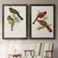 Elegant Trogons III - Premium Framed Canvas 2 Piece Set - Ready to Hang