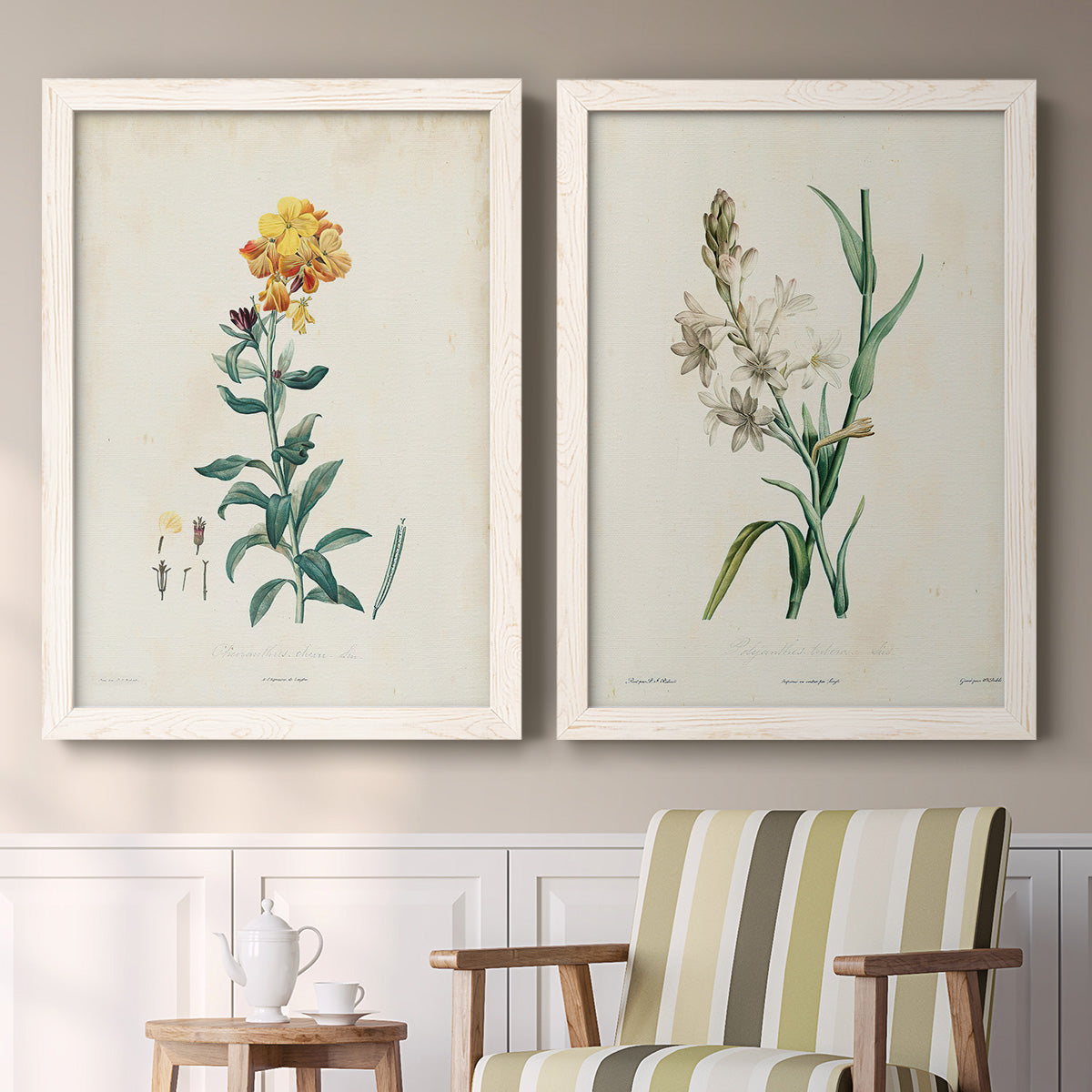 Traditional Botanical III - Premium Framed Canvas 2 Piece Set - Ready to Hang