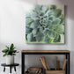 Verdant Succulent II-Premium Gallery Wrapped Canvas - Ready to Hang