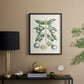 Buchoz Tropicals VII - Restickable Framed Art Print