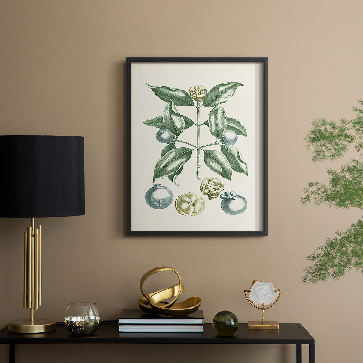 Buchoz Tropicals VII - Restickable Framed Art Print