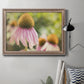 Echinacea Study II Premium Framed Canvas- Ready to Hang