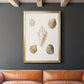 Pastel Knorr Shells IX - Modern Framed Canvas Print