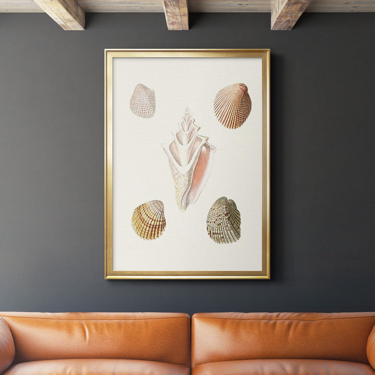 Pastel Knorr Shells IX - Modern Framed Canvas Print
