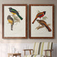 Elegant Trogons III - Premium Framed Canvas 2 Piece Set - Ready to Hang