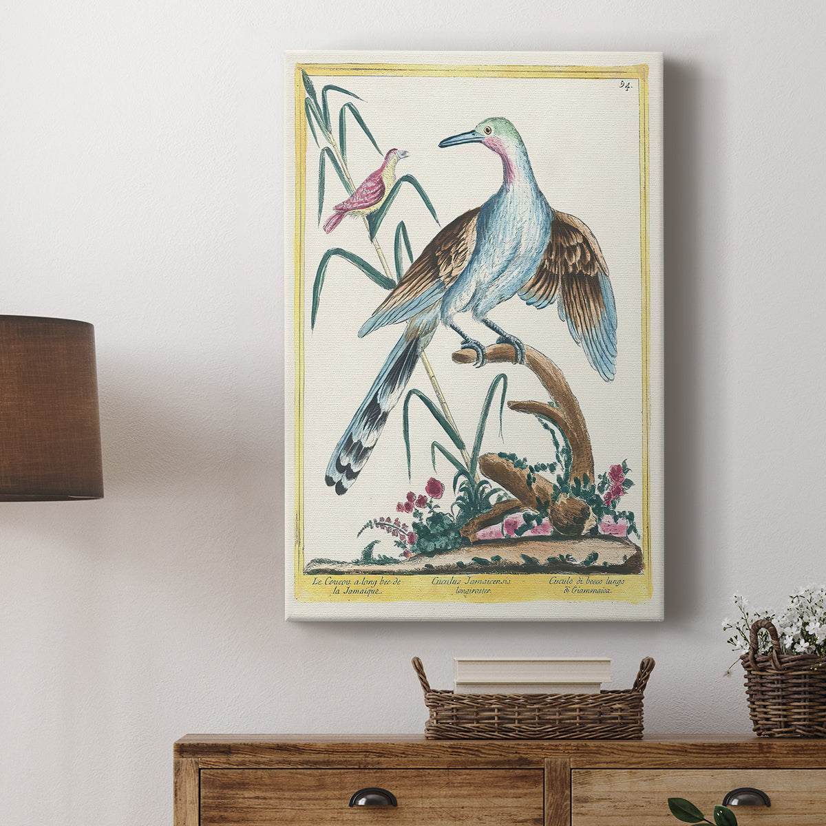 The Jamaican Long-Beaked Cuckoo, 1771-1775 - Canvas Art Print