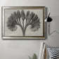 Vintage botanical plant study photograph by Karl Blossfeldt in an ornate mottled silver frame displayed in a neutral interior setting.
