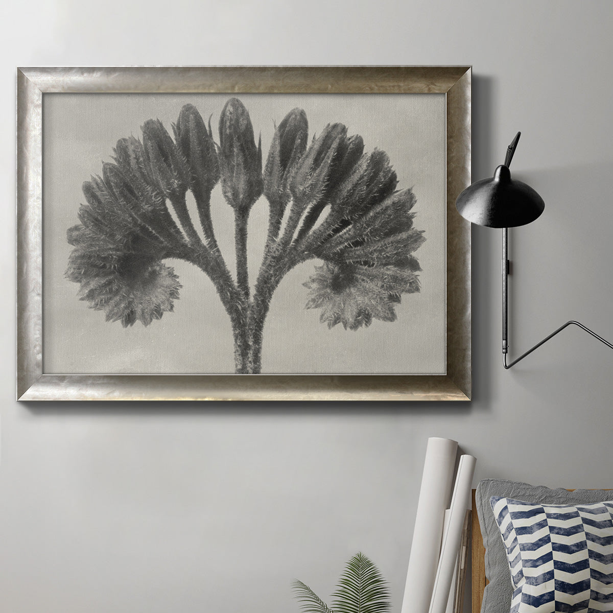 Vintage botanical plant study photograph by Karl Blossfeldt in an ornate mottled silver frame displayed in a neutral interior setting.