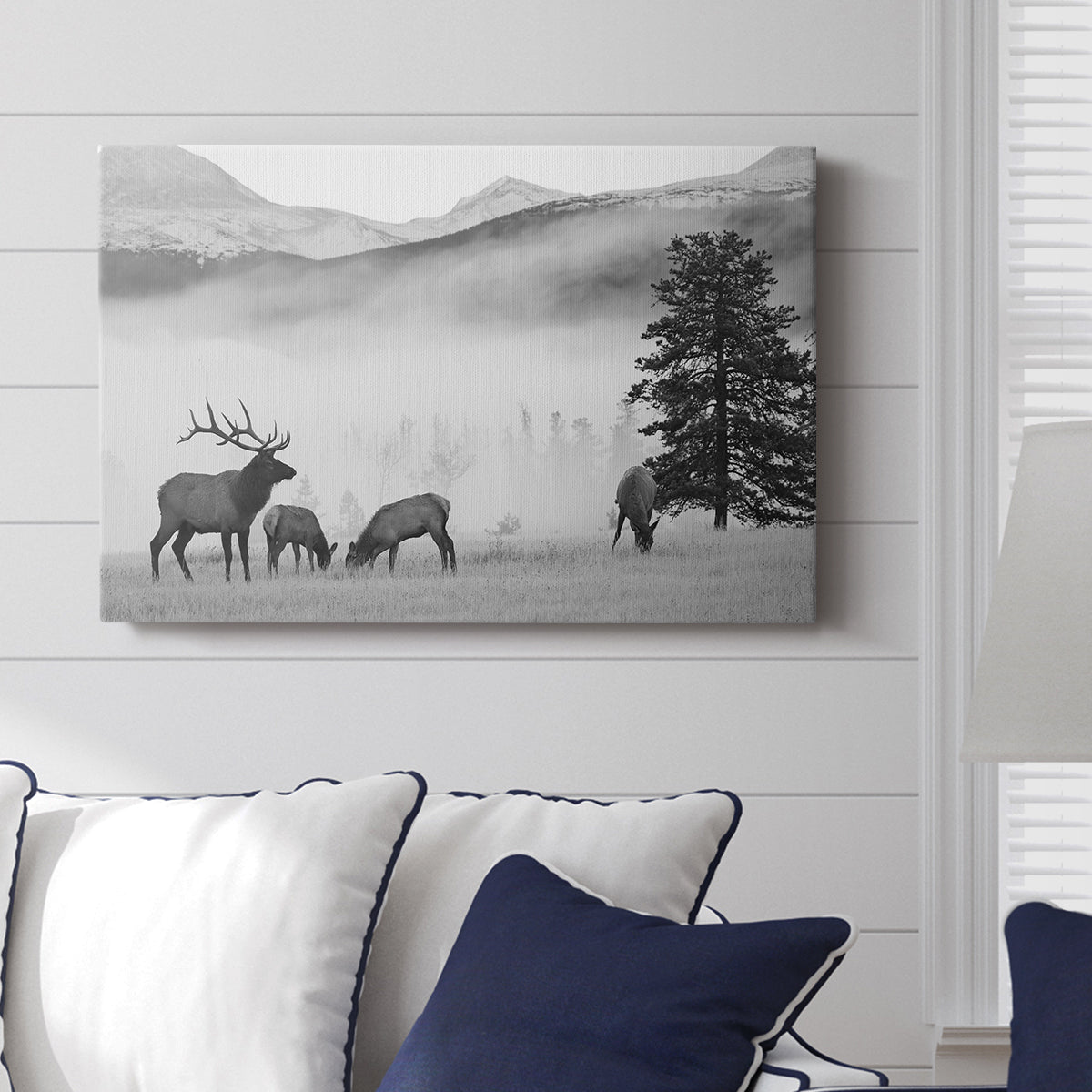 Mountain Elk - Canvas Art Print