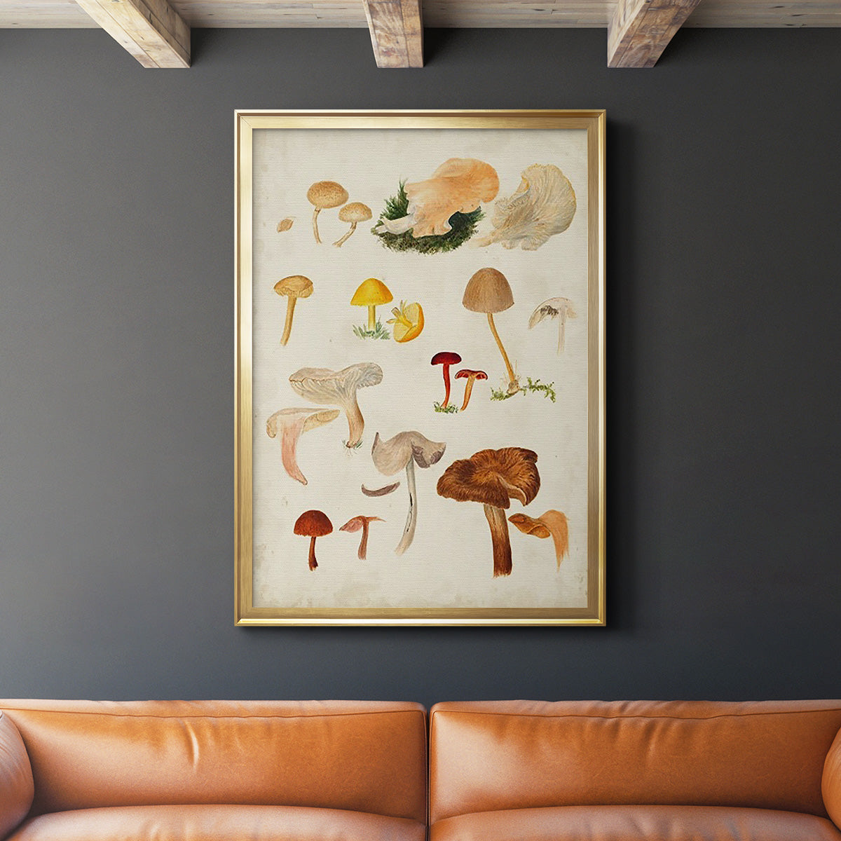 Mushroom Species XII - Modern Framed Canvas Print