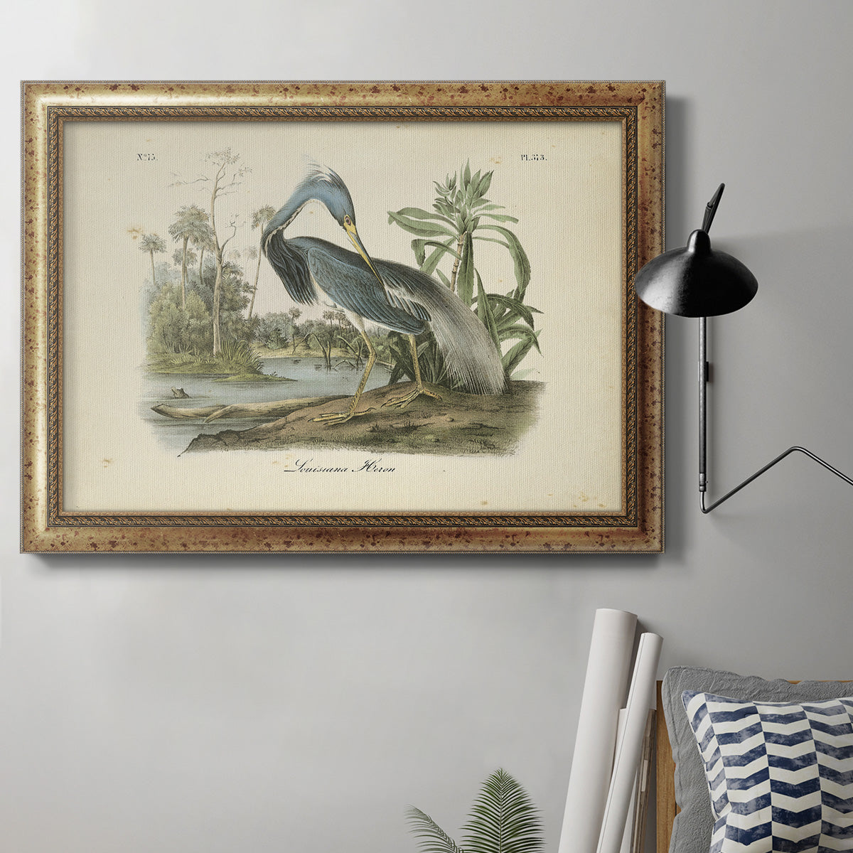 Audubons Louisiana Heron Premium Framed Canvas- Ready to Hang