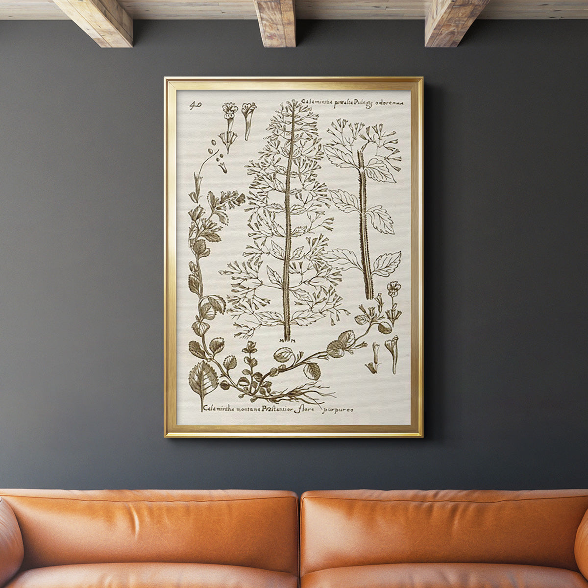 Sepia Botanical Journal V - Modern Framed Canvas Print