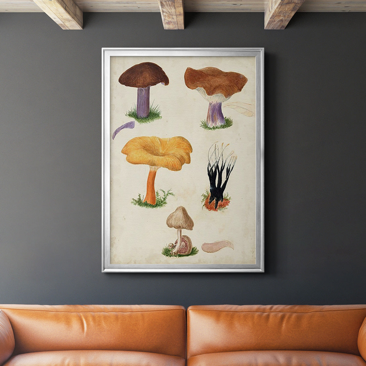 Mushroom Species VII - Modern Framed Canvas Print