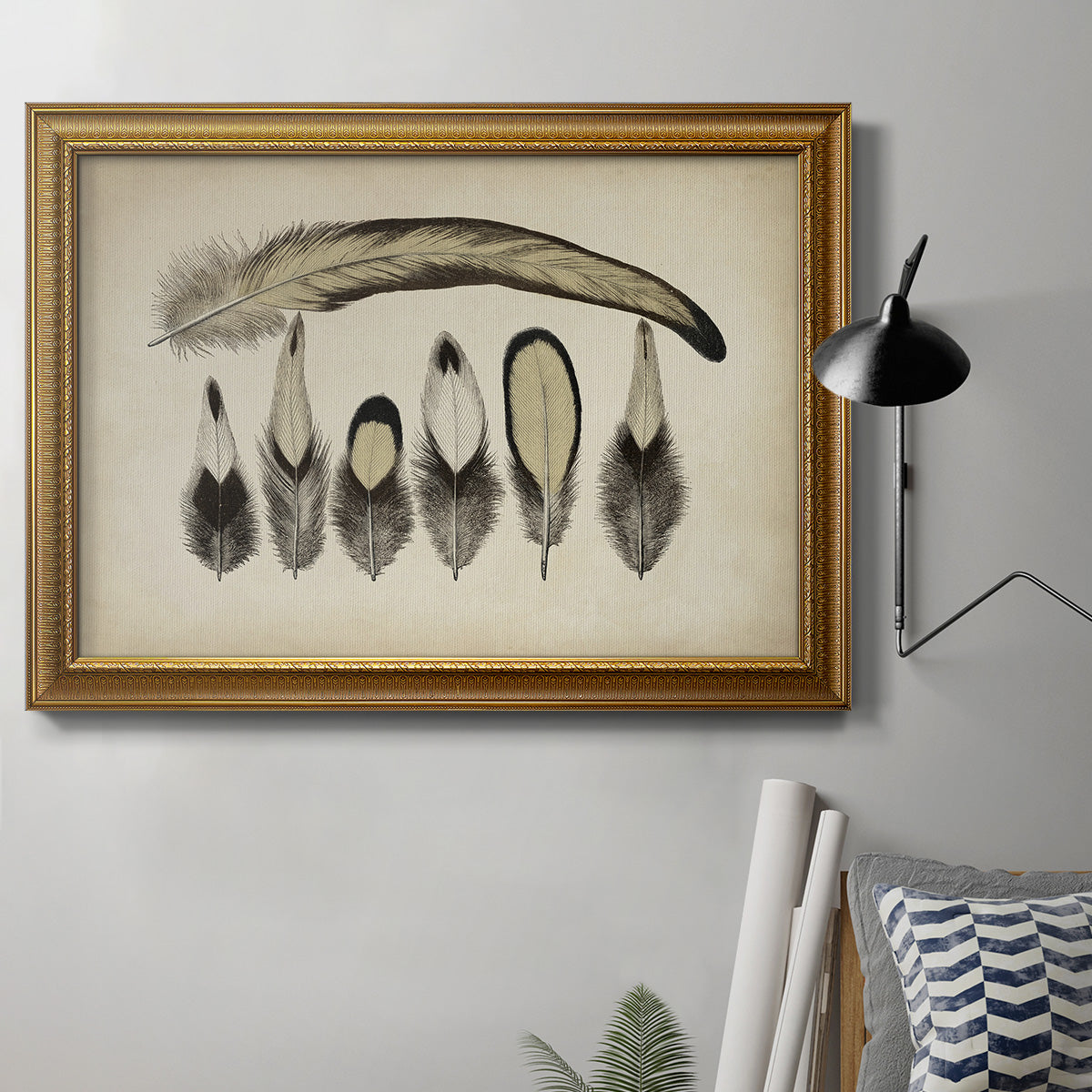 Vintage Feathers VII Premium Framed Canvas- Ready to Hang