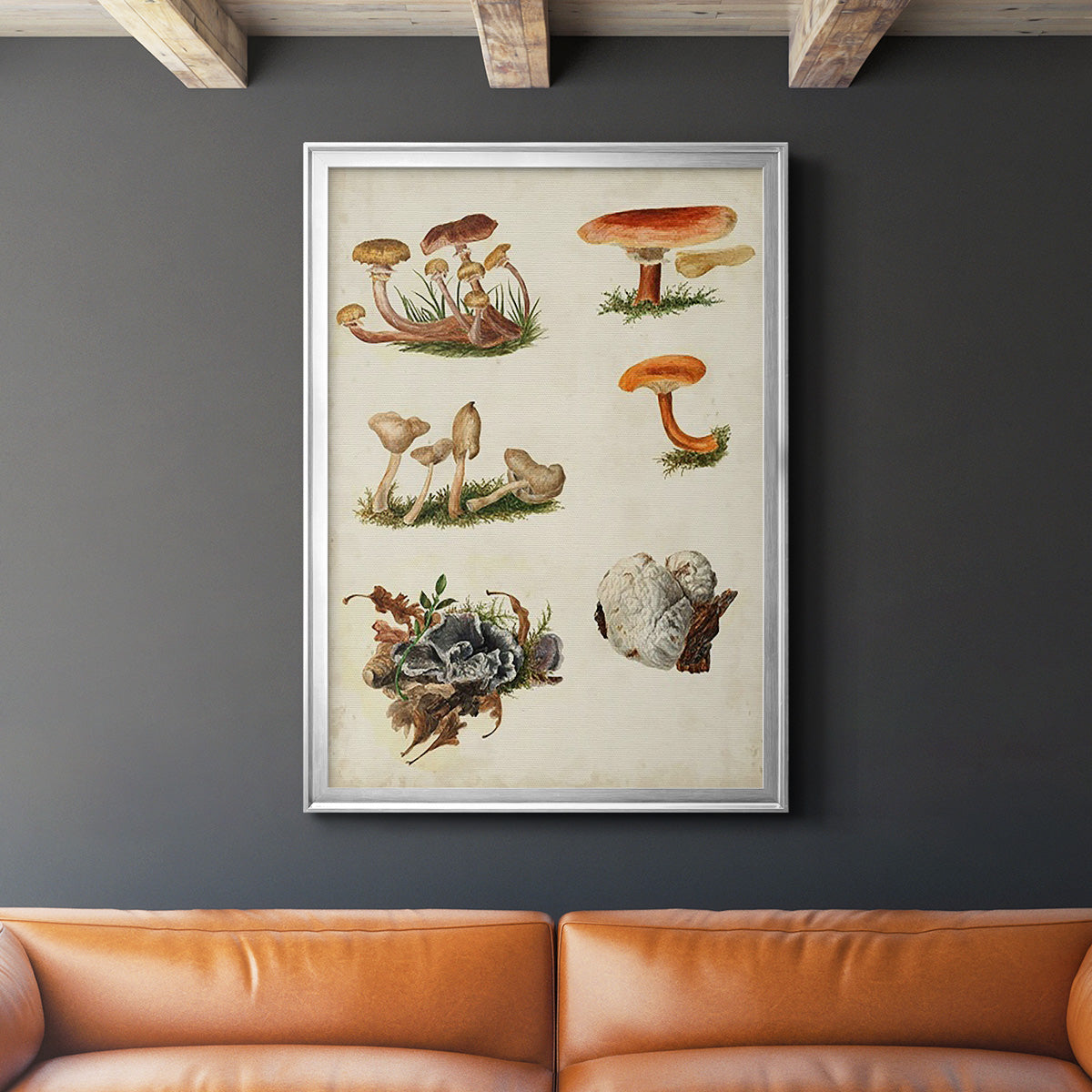 Mushroom Species X - Modern Framed Canvas Print