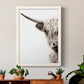 Highland Cattle - Premium Canvas Framed in Barnwood - Ready to Hang