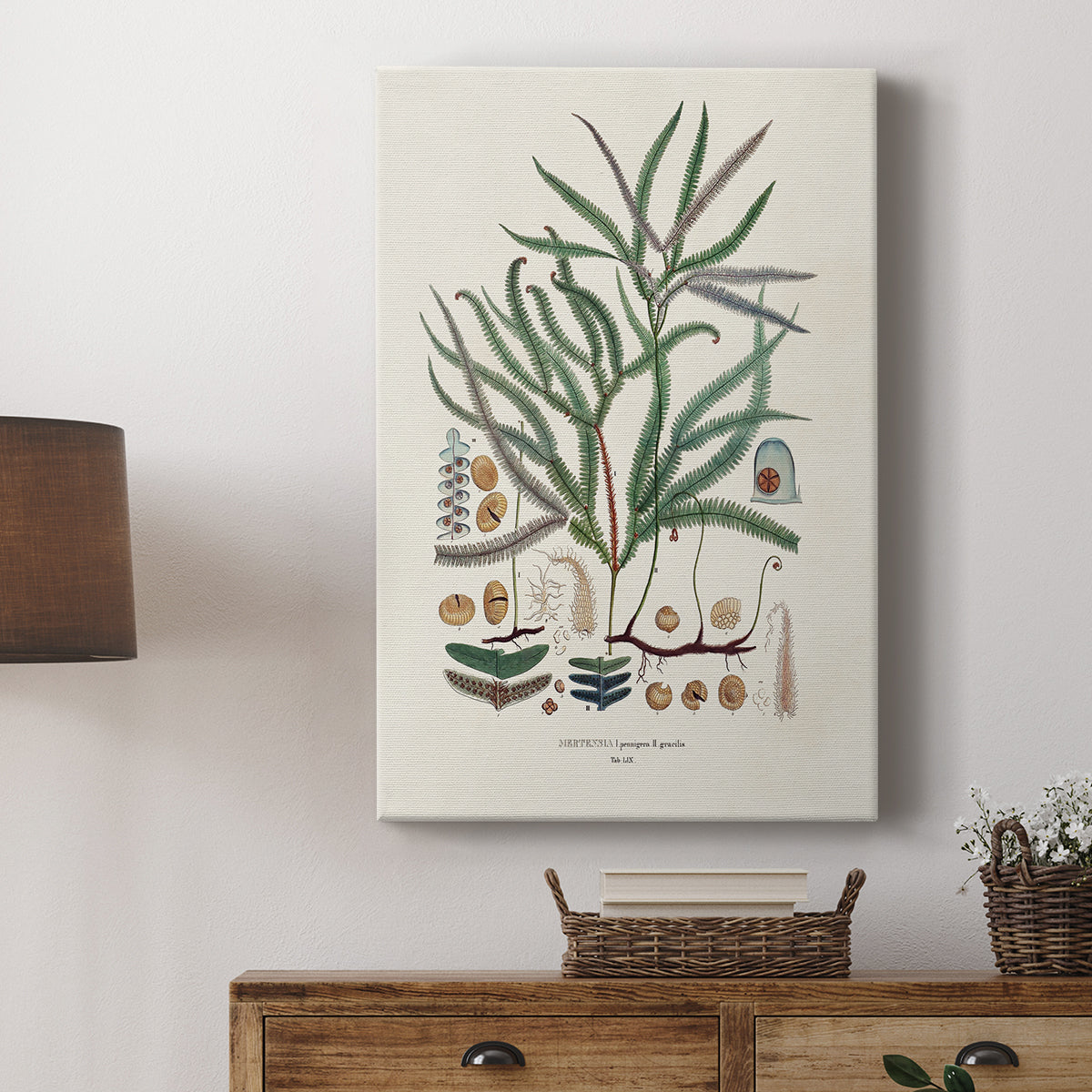 Botanical Society Ferns VII - Canvas Art Print