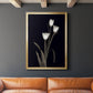 Tulip Pose I - Modern Framed Canvas Print
