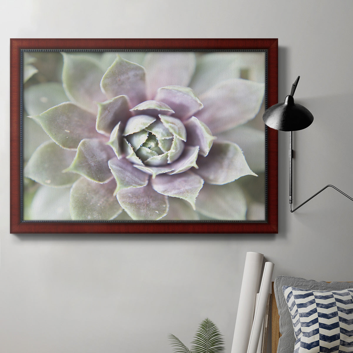 Succulent Glow II - Ornate Framed Canvas Print