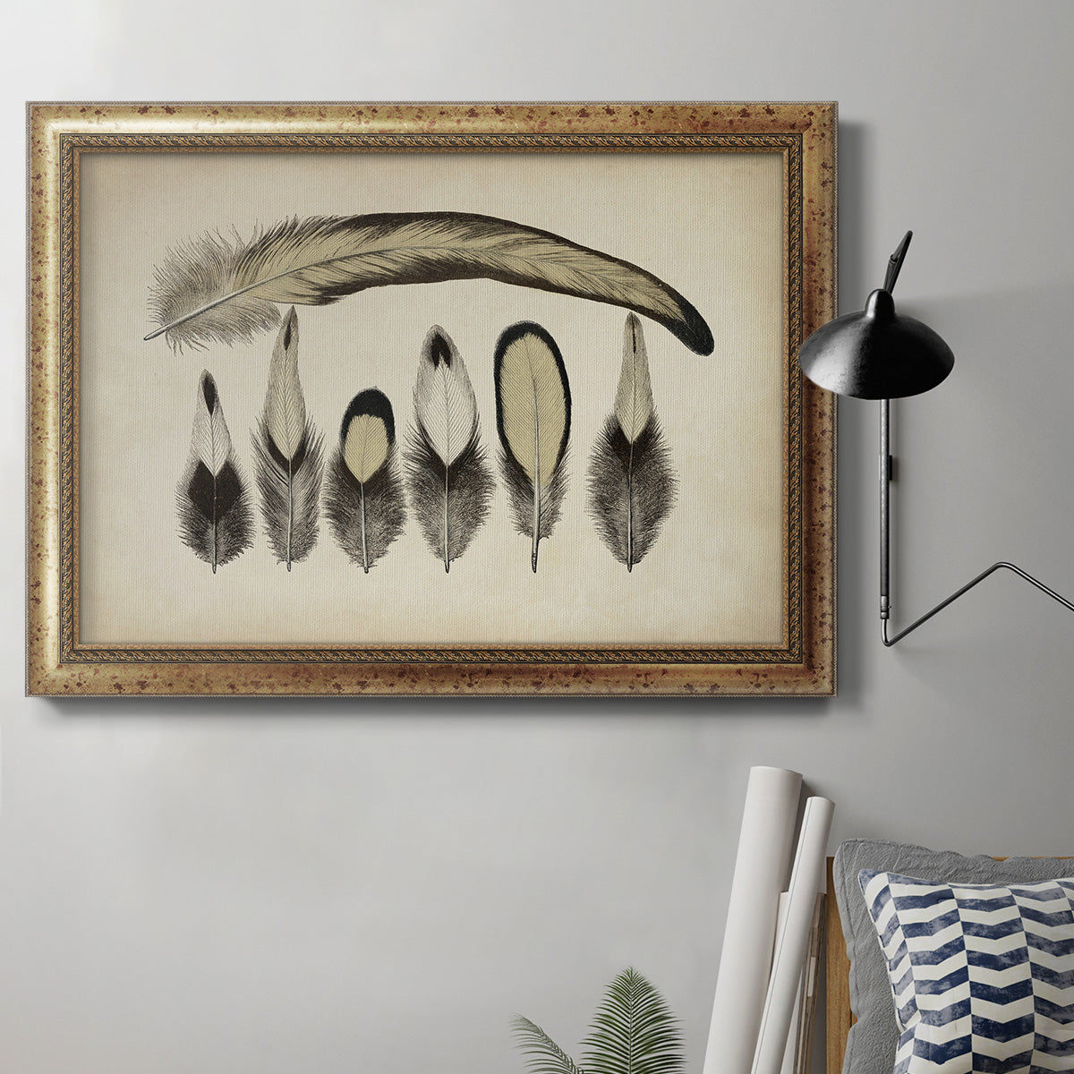 Vintage Feathers VII Premium Framed Canvas- Ready to Hang