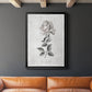 Vintage Botanical II - Modern Framed Canvas Print