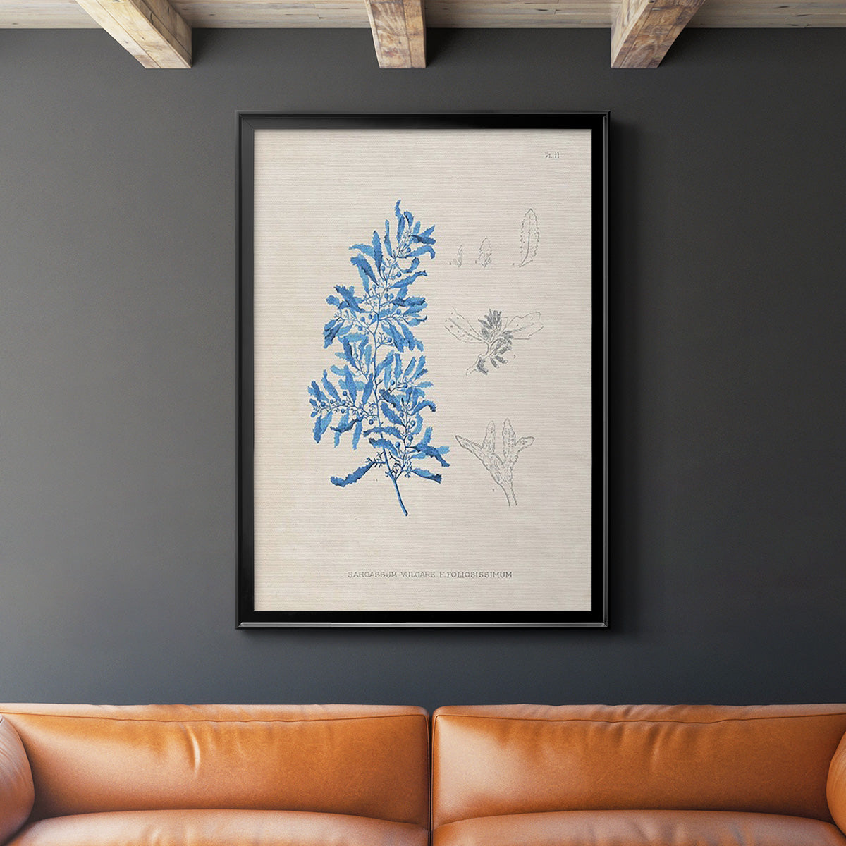 Blue Marine Algae VI - Modern Framed Canvas Print