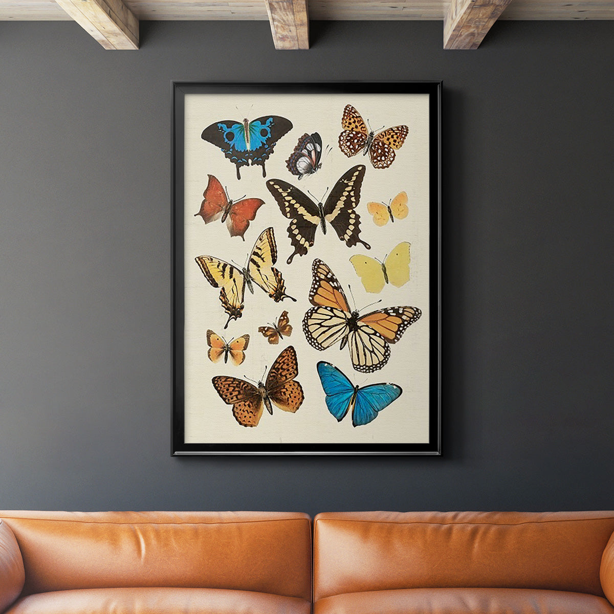 Collected Flutter II - Modern Framed Canvas Print