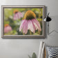 Echinacea Study II Premium Framed Canvas- Ready to Hang