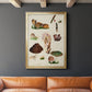 Mushroom Species IX - Modern Framed Canvas Print