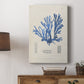 Blue Marine Algae IX - Canvas Art Print