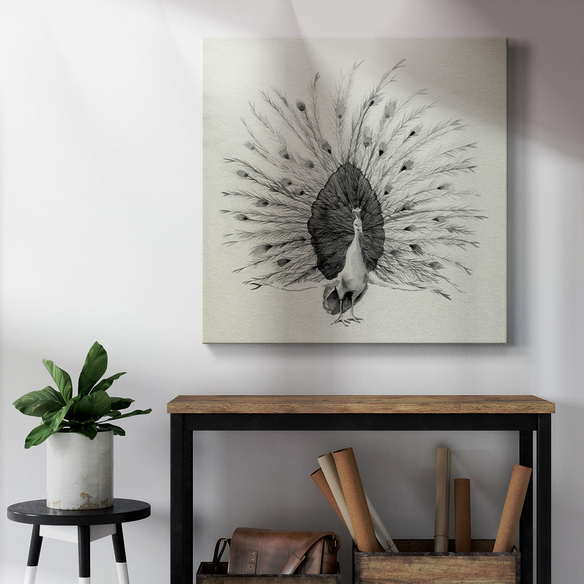 Ebony Plumed Peacock I - Canvas Art Print