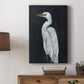 Calm Great Egret I - Canvas Art Print